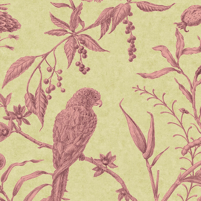 Lewis and wood wallpaper squawk 1 product detail
