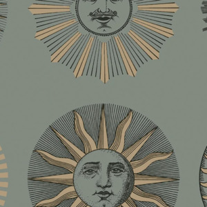 Cole and son wallpaper fornasetti senza 50 product listing
