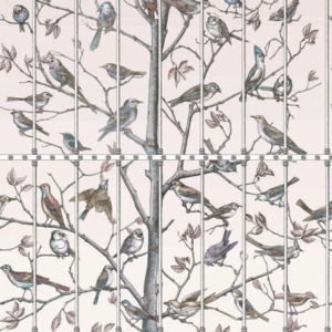 Cole and son wallpaper fornasetti senza 47 product listing