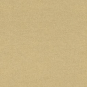 Today interiors wallpaper moana 37 product listing