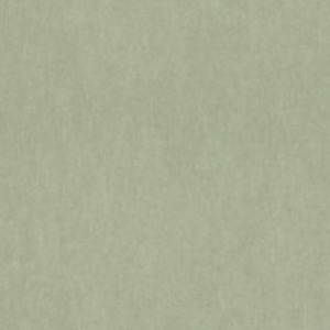 Today interiors wallpaper sensai 45 product listing