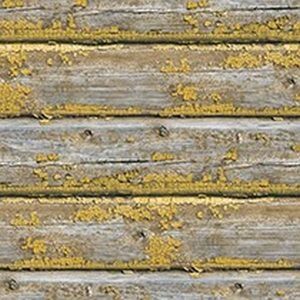 Today interiors wallpaper structure 8 product listing