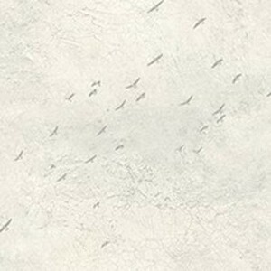 Today interiors wallpaper transition 29 product listing