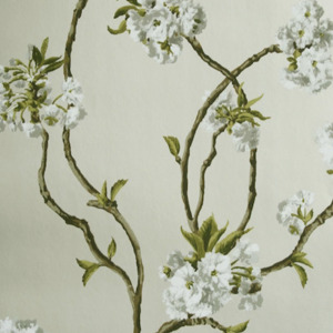 Nina campbell wallpaper sylvana 8 product listing