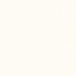 Thibaut locale wide width 11 product listing