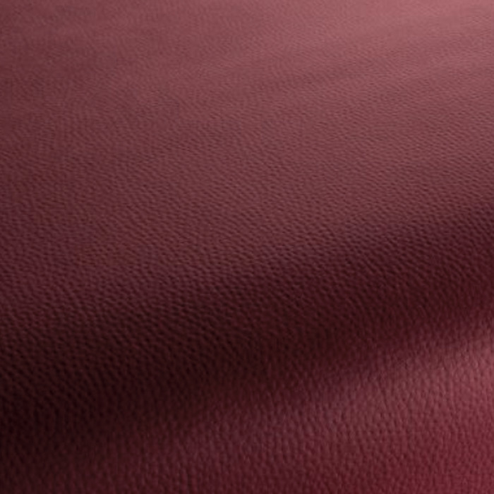 Carlucci love of life 237 product detail