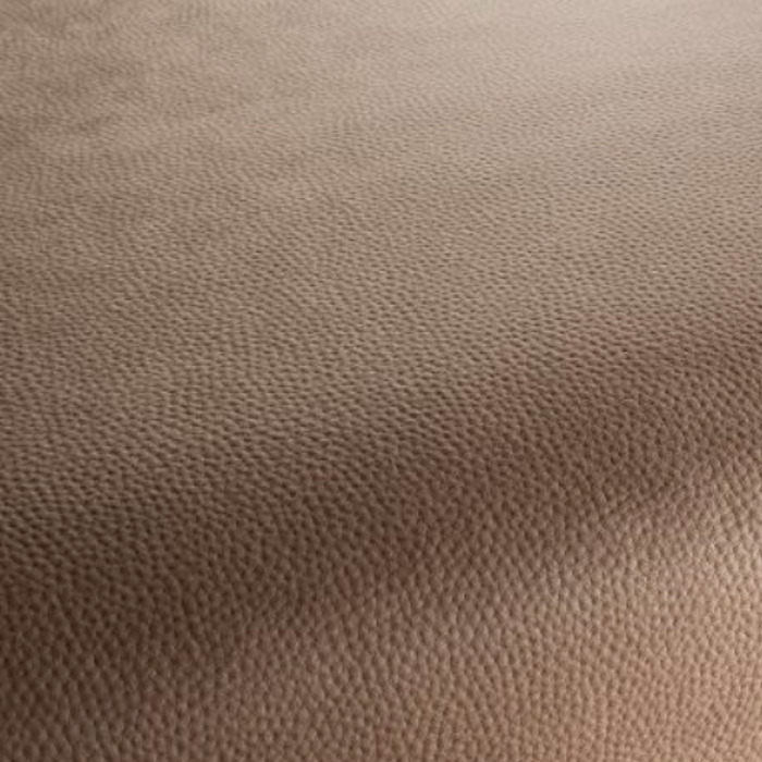 Carlucci love of life 238 product detail