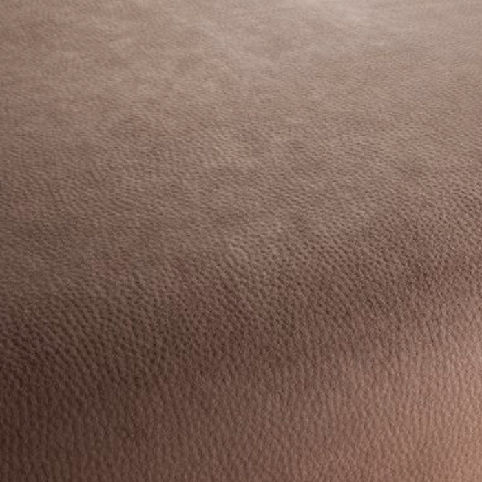 Carlucci love of life 239 product detail