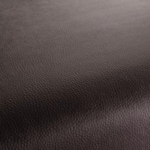 Carlucci love of life 242 product listing