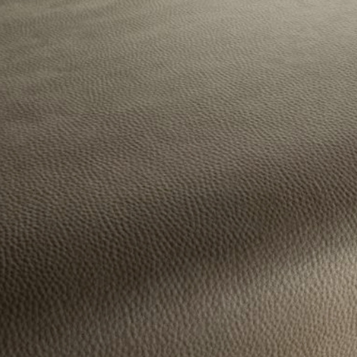 Carlucci love of life 245 product detail