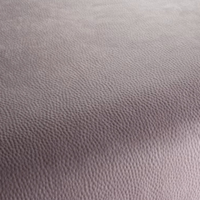 Carlucci love of life 247 product detail