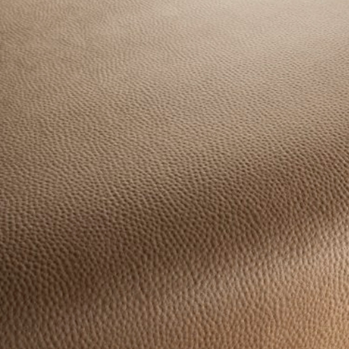 Carlucci love of life 248 product detail