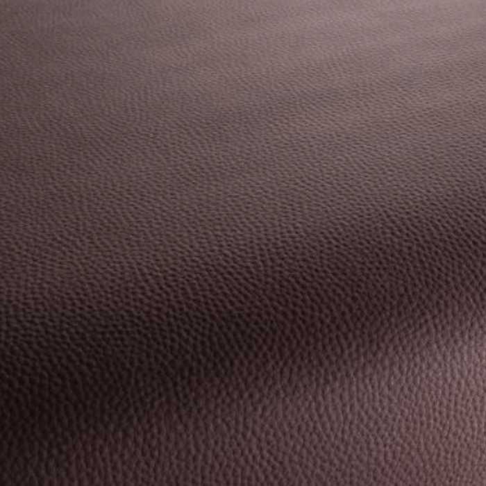 Carlucci love of life 258 product detail
