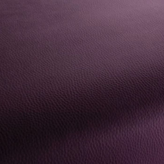 Carlucci love of life 263 product detail