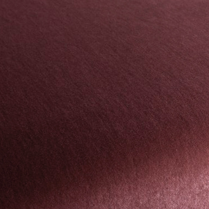 Carlucci love of life 464 product detail