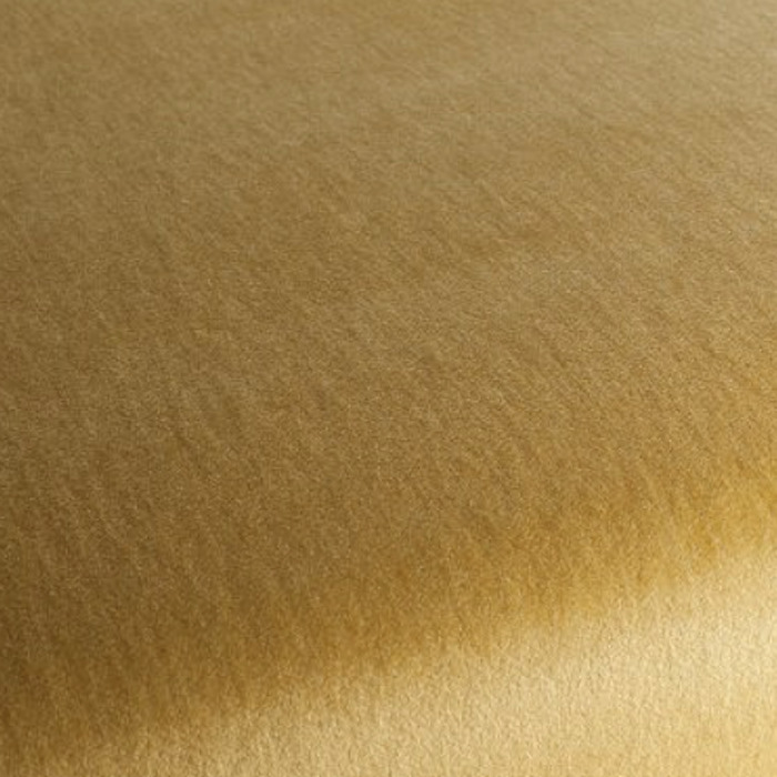 Carlucci love of life 466 product detail
