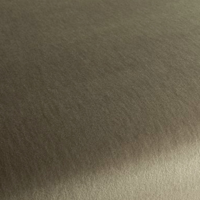 Carlucci love of life 483 product detail