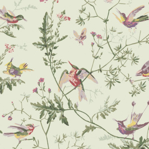 Cole and son wallpaper selection of hummingbirds 15 product listing
