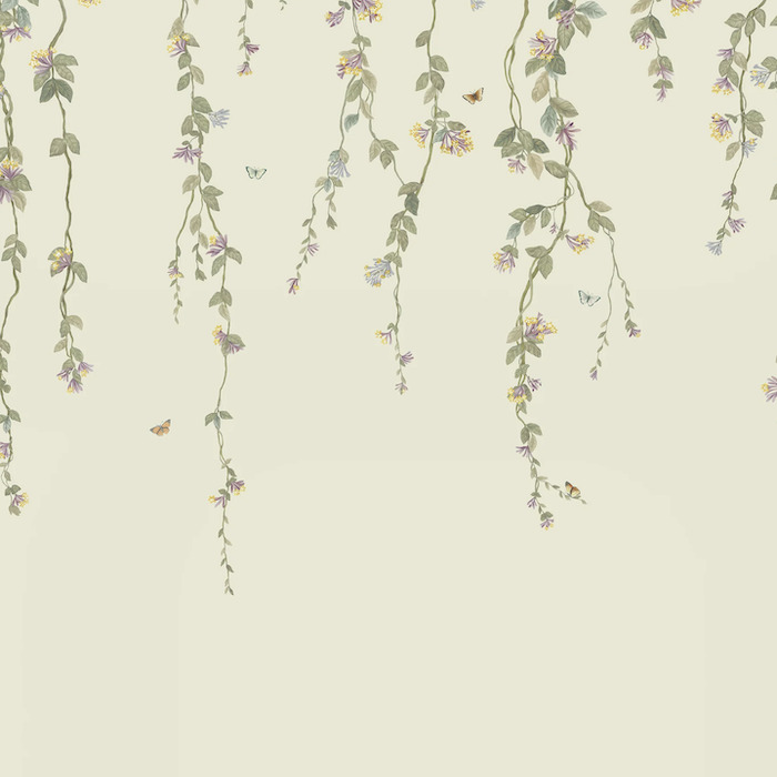 Cole and son wallpaper selection of hummingbirds 22 product detail