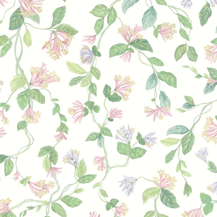 Cole and son wallpaper selection of hummingbirds 24 product detail