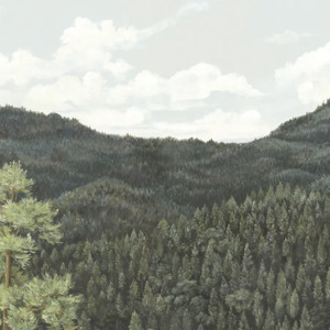 Nobilis marie hartig painted worlds 6 product listing