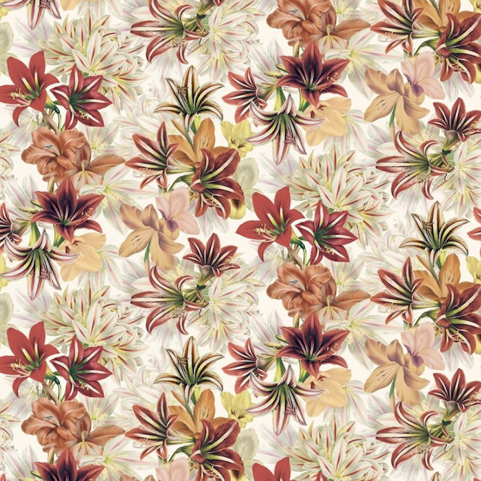 John derian picture book 1 product detail