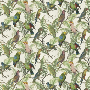 John derian picture book ii 8 product listing