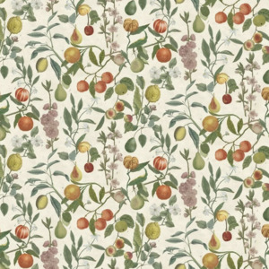 John derian picture book iii 1 product listing