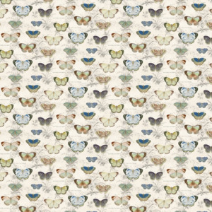 John derian picture book iii 4 product listing