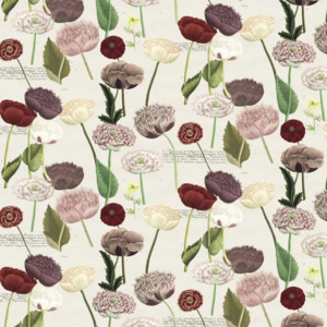 John derian picture book iii 5 product listing