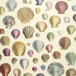John derian wallpaper picture book 1 product listing