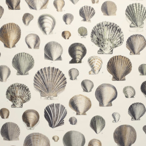 John derian wallpaper picture book 2 product listing