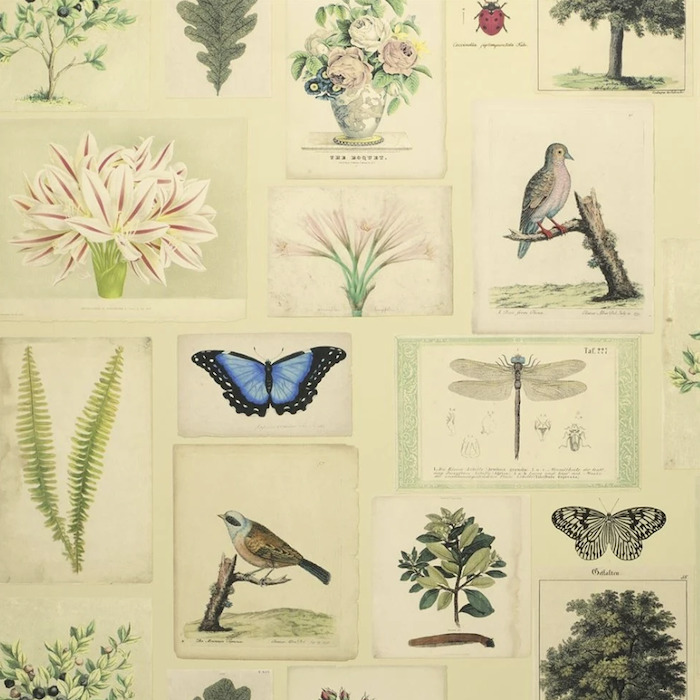 John derian wallpaper picture book 7 product detail
