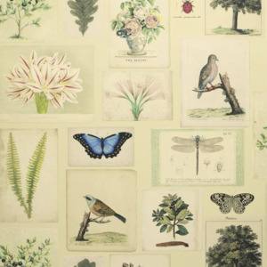 John derian wallpaper picture book 7 product listing