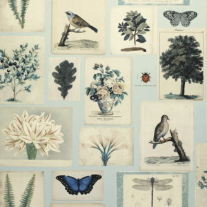 John derian wallpaper picture book 8 product listing