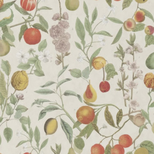 John derian wallpaper picture book ii 7 product listing