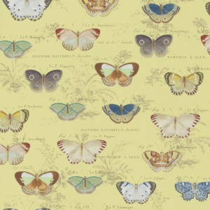 John derian wallpaper picture book ii 13 product listing
