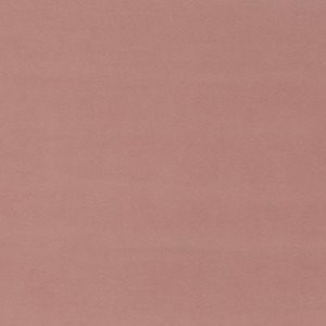 Carlucci adore you 14 product listing