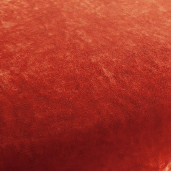 Carlucci the fusionist 22 product detail