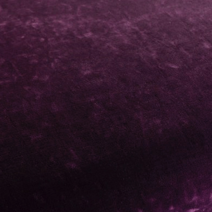 Carlucci the fusionist 35 product detail