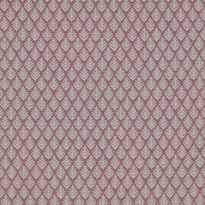 Iliv jardine 10 product detail