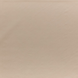 Iliv plains 10   11 94 product listing