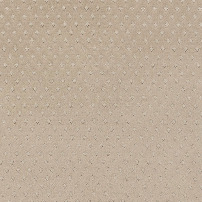 Iliv plains 10 11 166 product detail