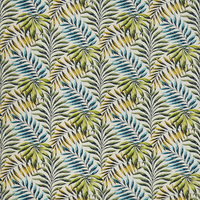 Iliv rainforest 6 product detail