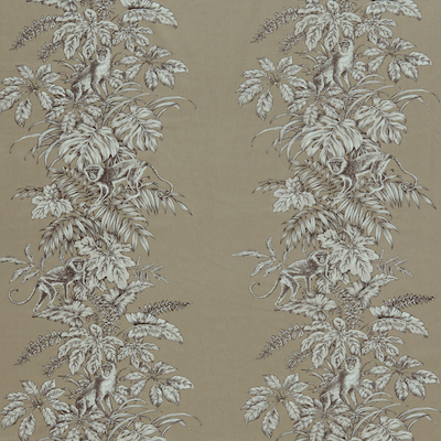 Iliv rainforest 12 product detail
