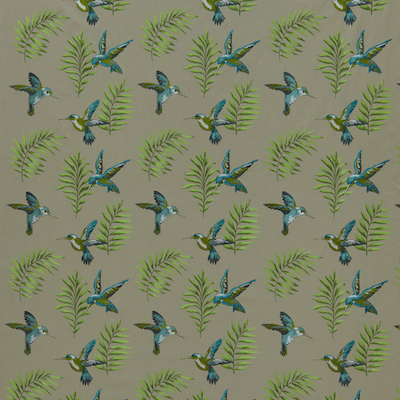 Iliv rainforest 17 product detail