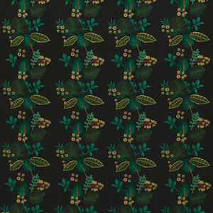 Iliv rainforest 23 product listing