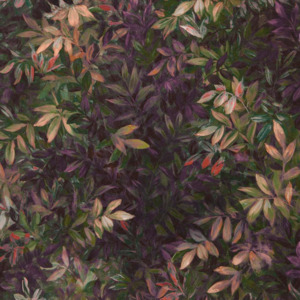 Clarke and clarke exotica 2 10 product listing