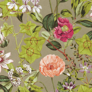 Clarke and clarke exotica 2 24 product listing