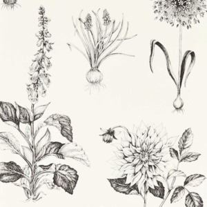Clarke and clarke secret garden 50 product listing